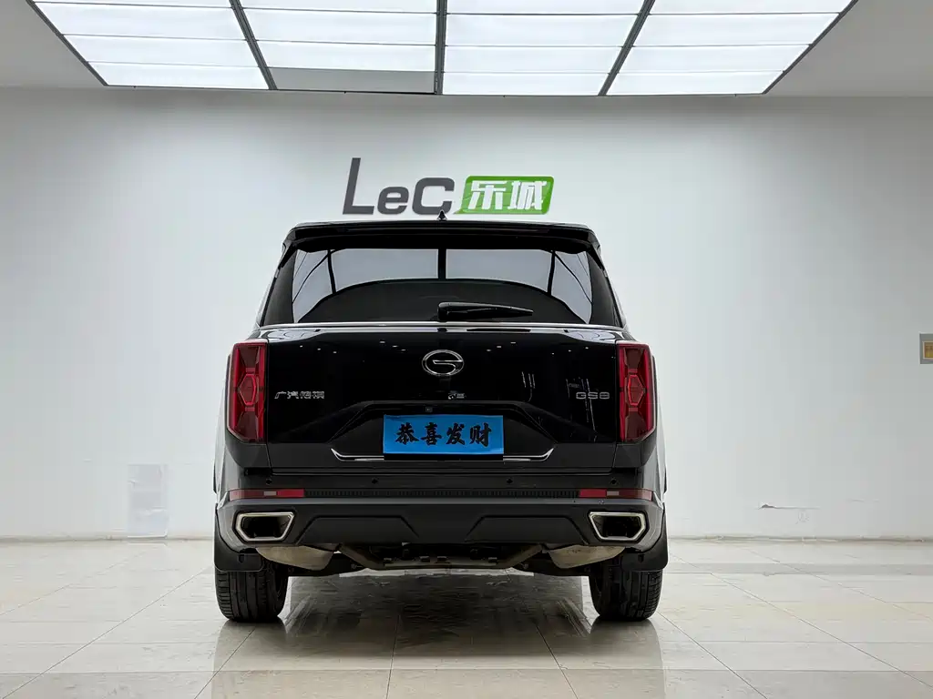 GAC Trumpchi GS8 2023 — фото 15