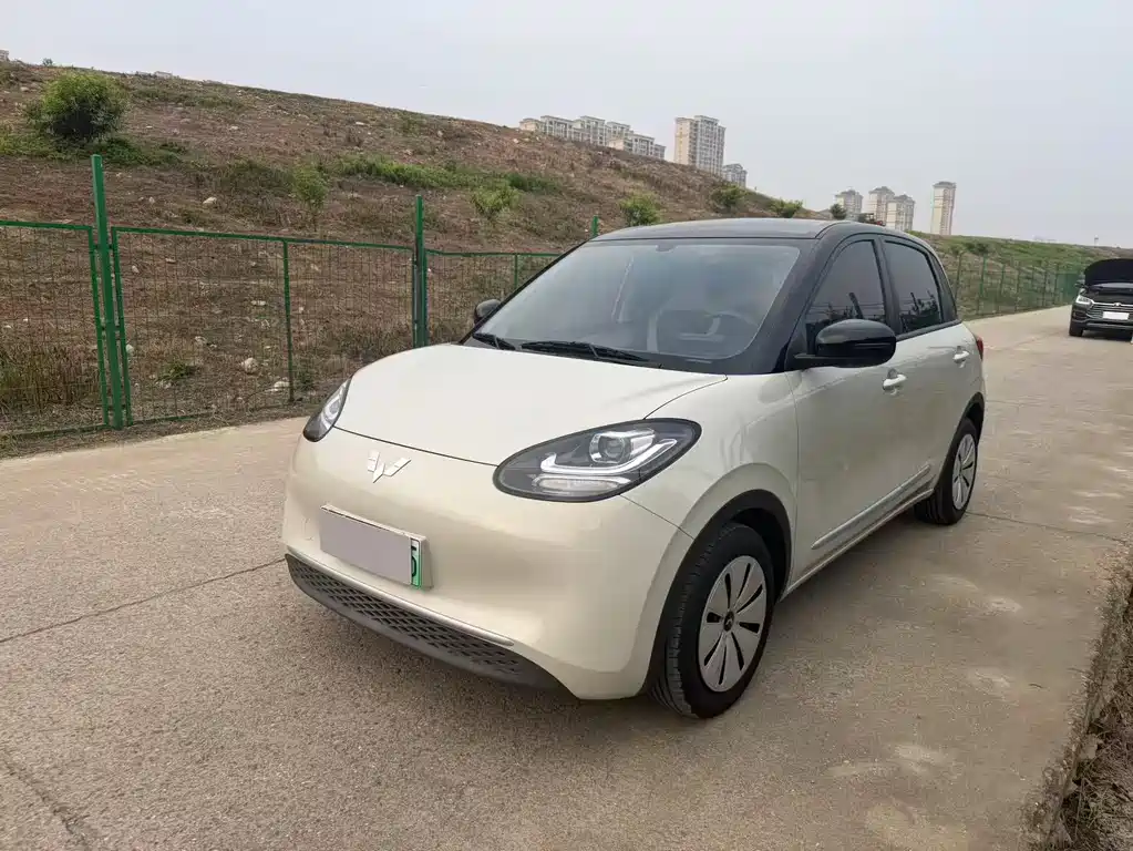 Wuling Bingo 2024