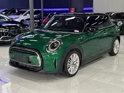 MINI MINI 2021