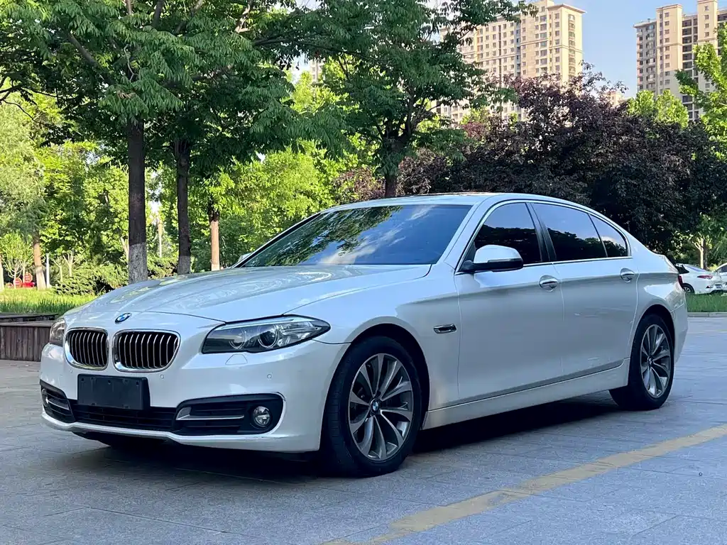 BMW 5 Series 2017 — фото 1