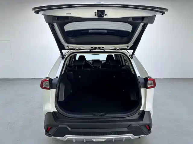 Toyota Wildlander 2021 — фото 15