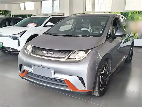 BYD Dolphin 2021