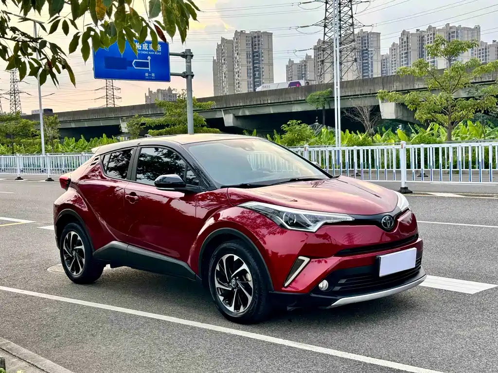 Toyota IZOA 2019
