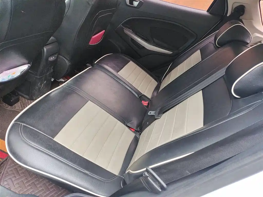 Ford Ecosport 2018 — фото 15