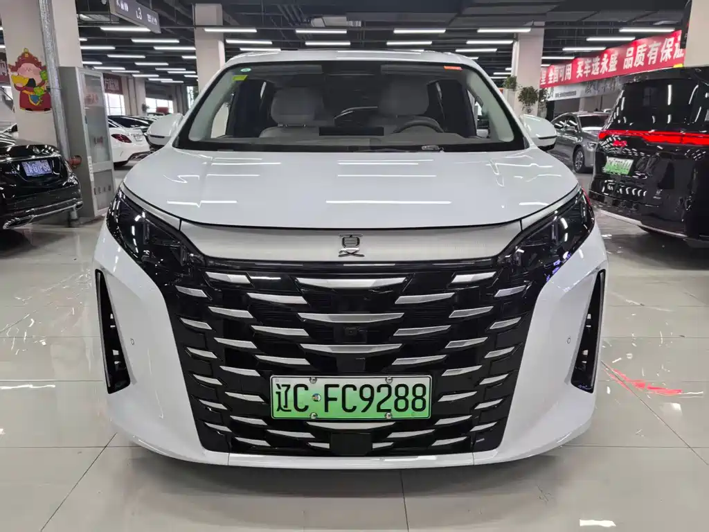BYD Xia 2025
