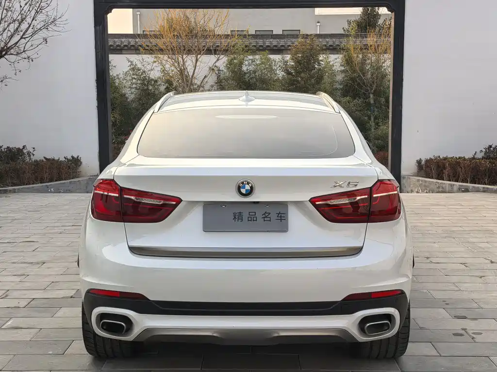 BMW X6 2018 — фото 5