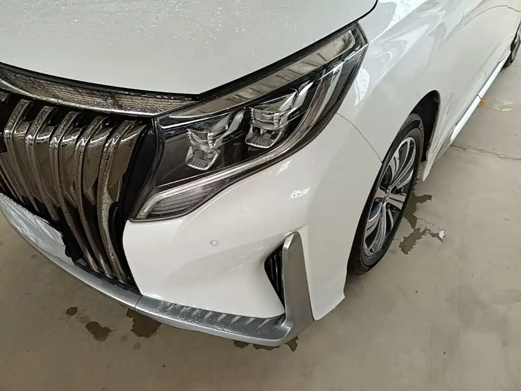 GAC Trumpchi M8 2020 — фото 15