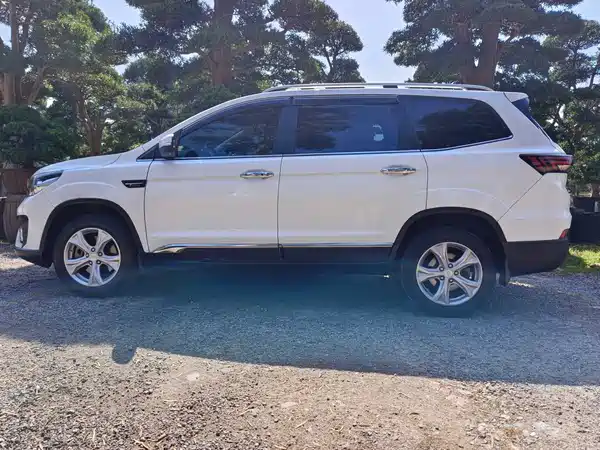 Bisu T5 2017