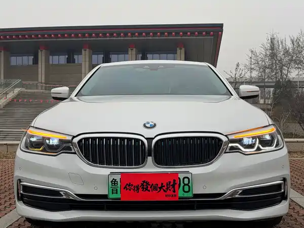 BMW 5 Series New Energy 2019