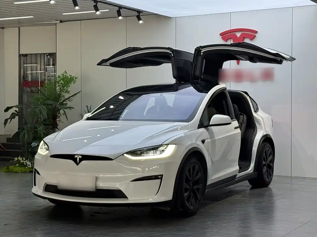 Tesla Model X 2023 — фото 2