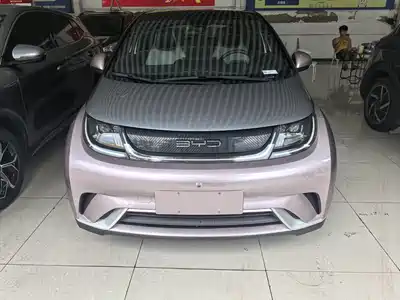 BYD Dolphin 2022
