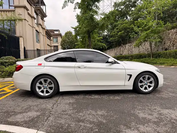 BMW 4 Series 2014
