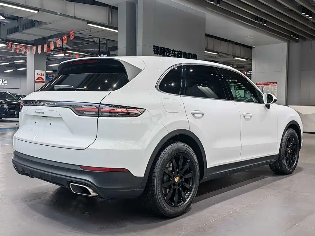 Porsche Cayenne 2020 — фото 13