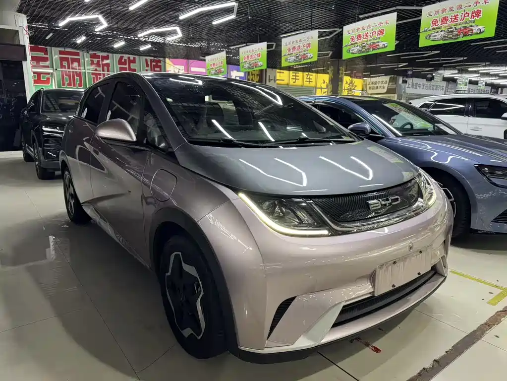 BYD Dolphin 2022