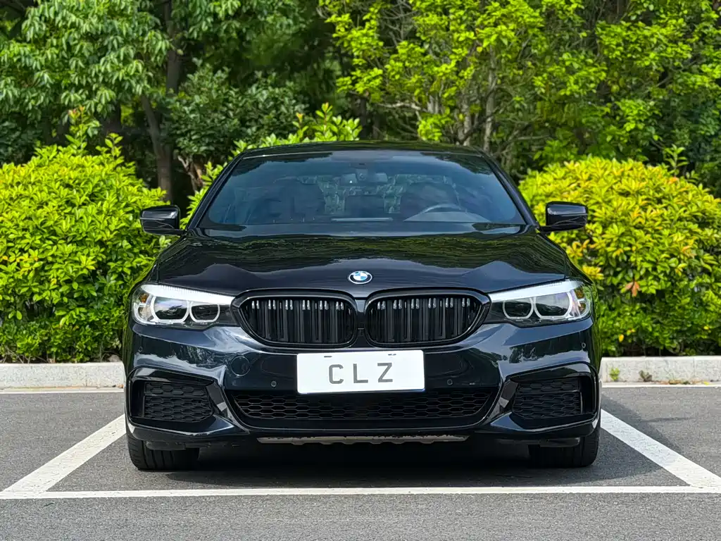 BMW 5 Series 2020