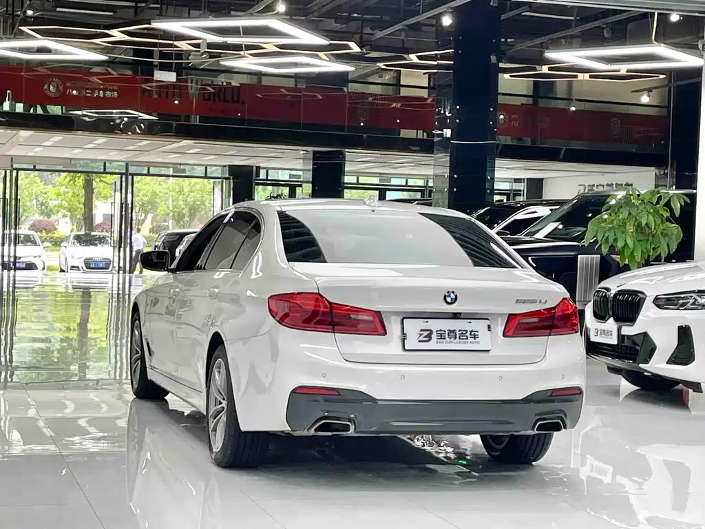 BMW 5 Series 2020 — фото 17