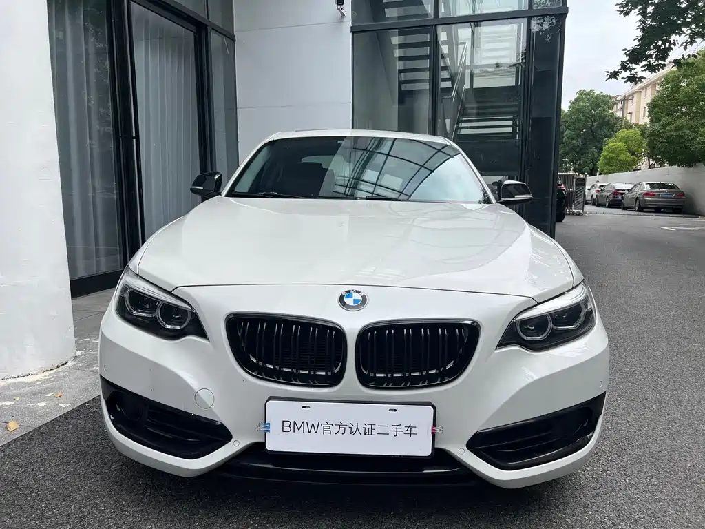 BMW 2 Series 2019