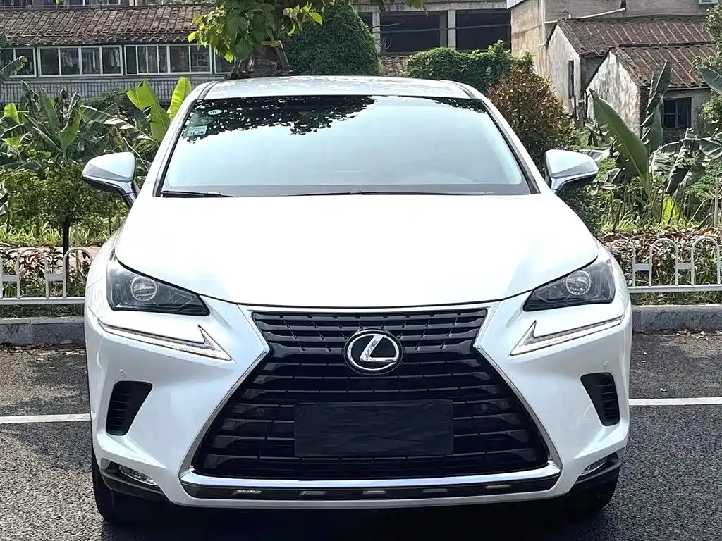 Lexus NX 2018