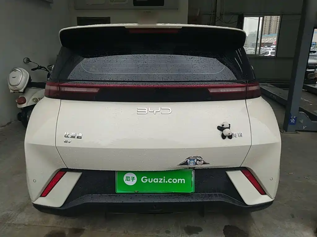 BYD Seagull 2025