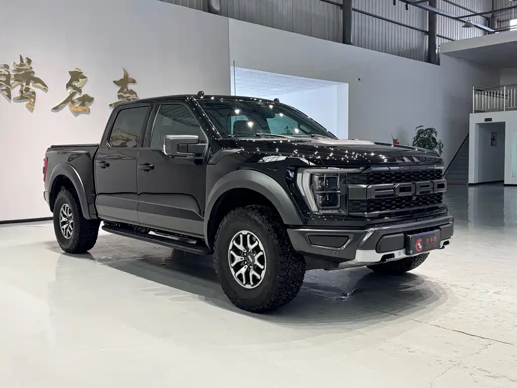 Ford F-150 Raptor 2024 — фото 8