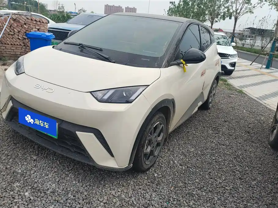 BYD Seagull 2025
