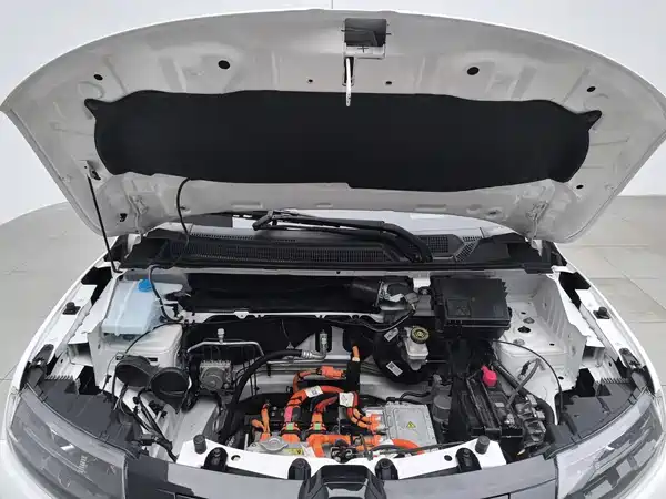Renault Eno 2019