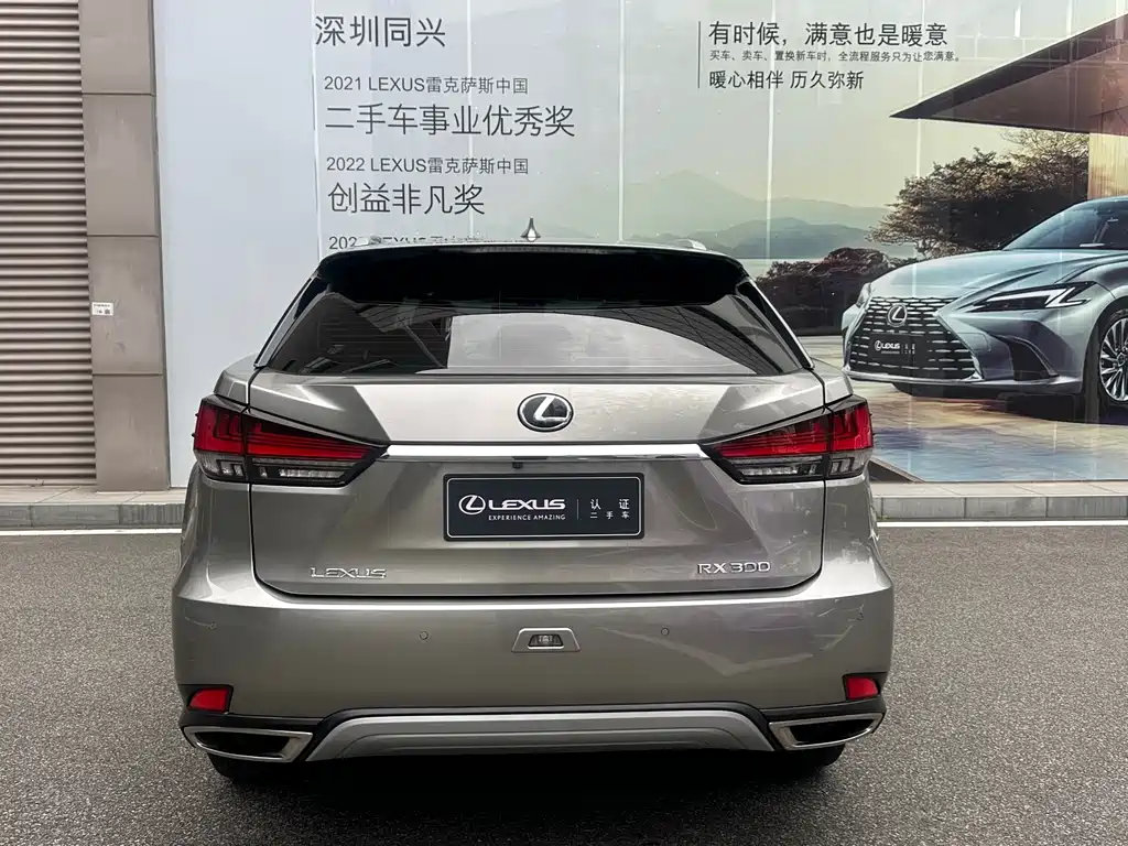 Lexus RX 2021 — фото 16
