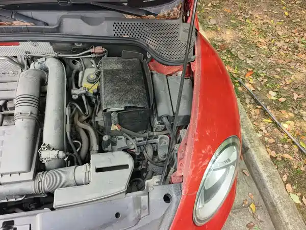 Volkswagen Beetle 2016