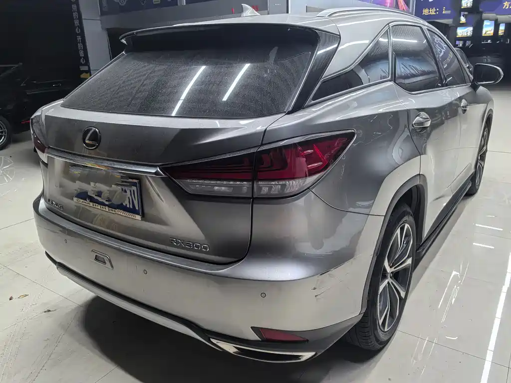Lexus RX 2023 — фото 10