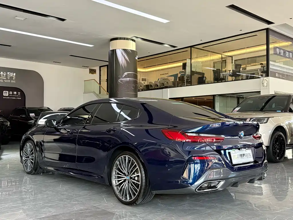 BMW 8 Series 2020 — фото 18