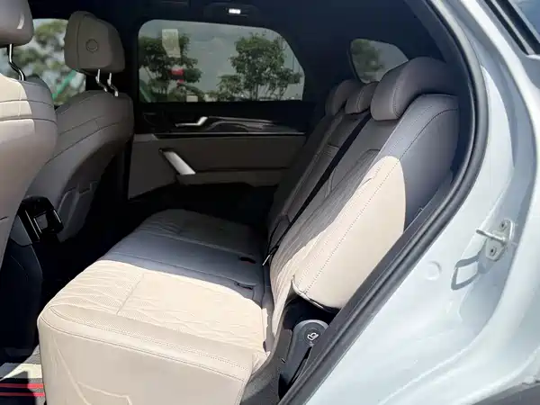 BYD Tang New Energy 2024