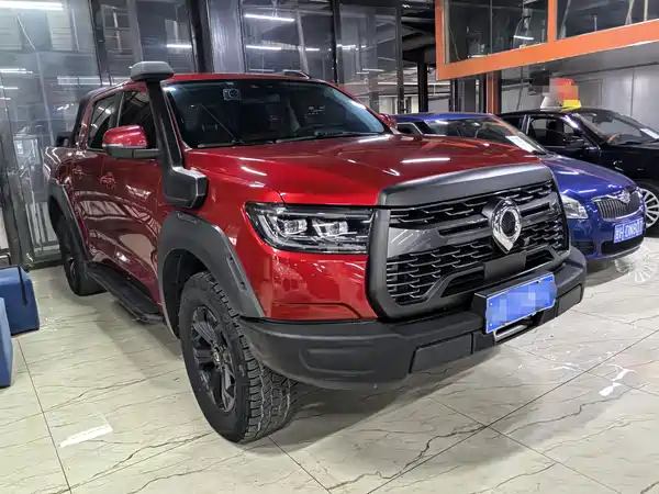 Great Wall Poer 2020