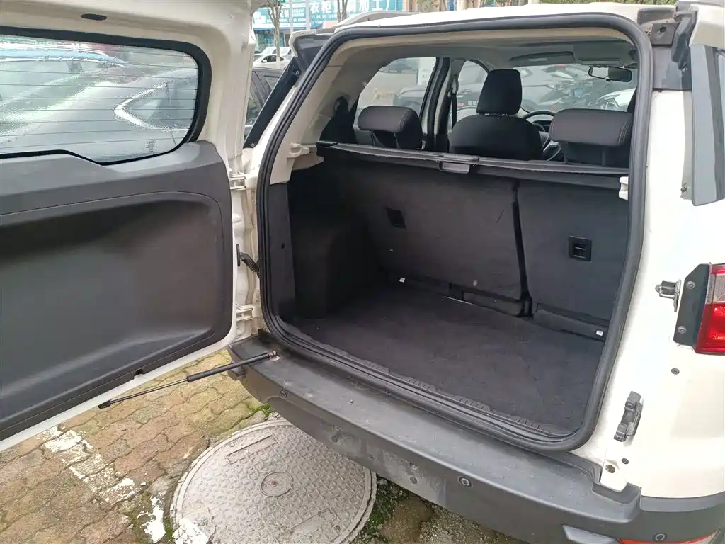 Ford Ecosport 2015 — фото 19