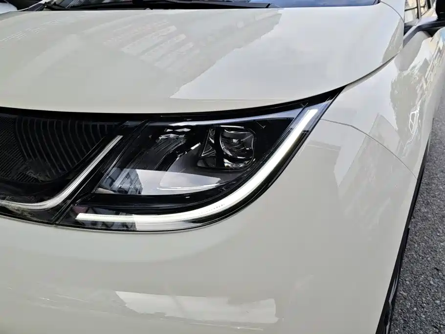 BYD Dolphin 2024