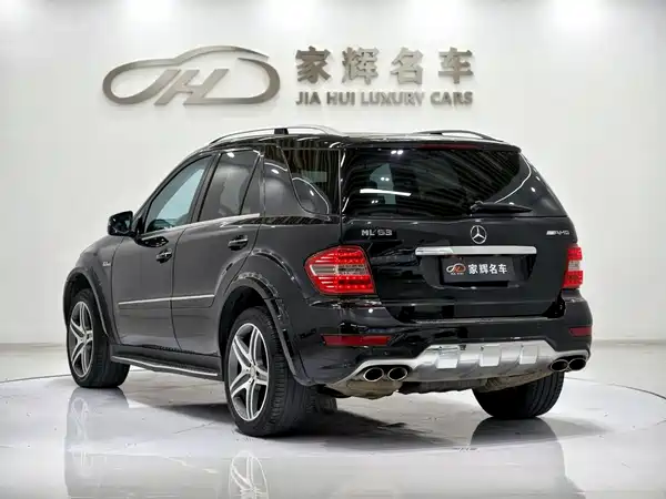 Mercedes-Benz M-Class AMG 2010