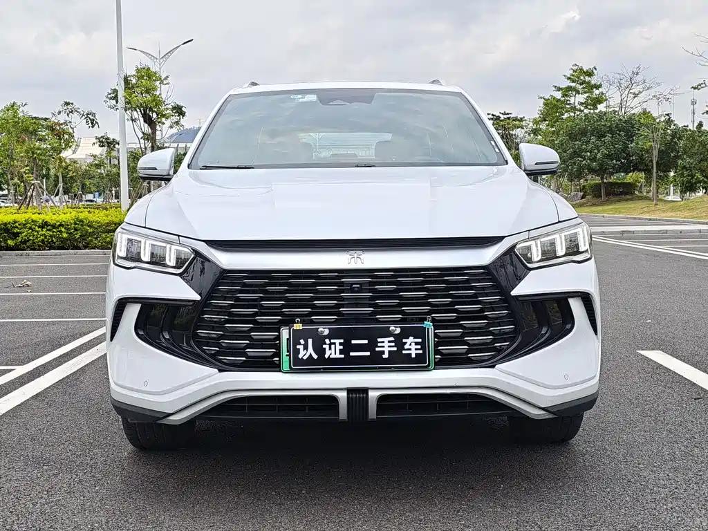 BYD Pro New Energy 2023 — фото 2