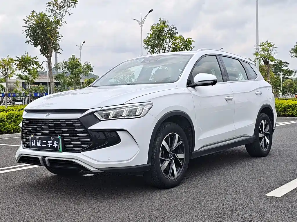 BYD Pro New Energy 2023 — фото 1