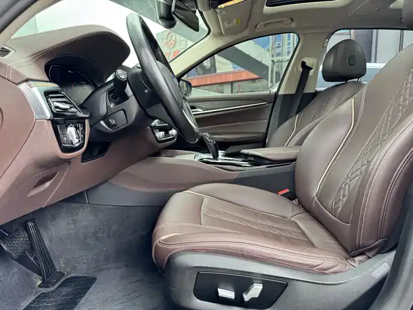 BMW 5 Series New Energy 2020