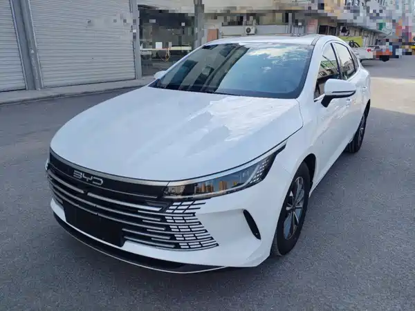 BYD Destroyer 05 2024