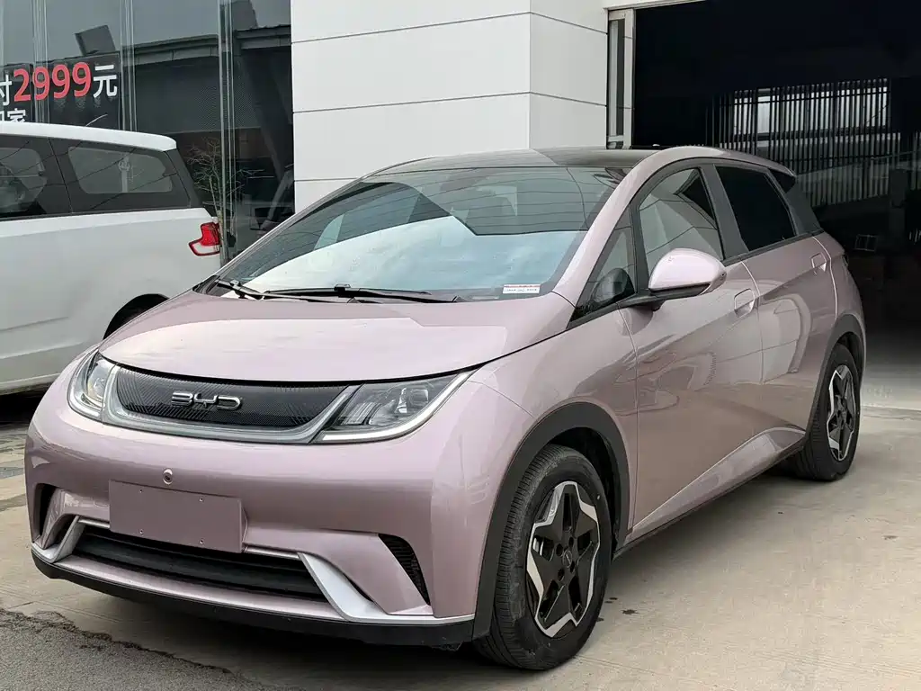 BYD Dolphin 2022