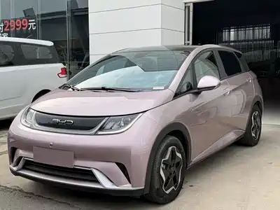 BYD Dolphin 2022