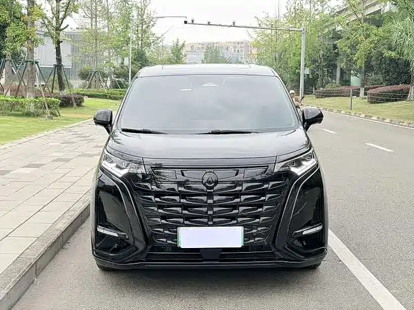Denza D9 2024