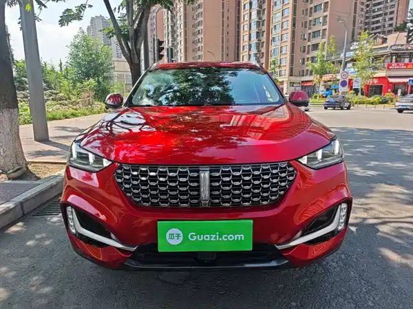 Wey VV6 2020