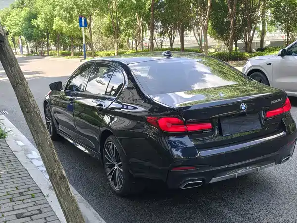 BMW 5 Series 2021