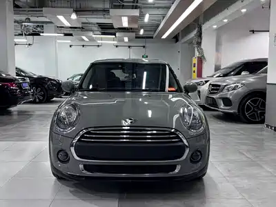 MINI MINI 2020