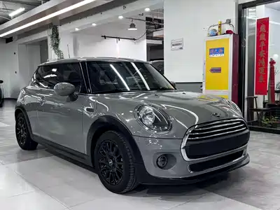 MINI MINI 2020
