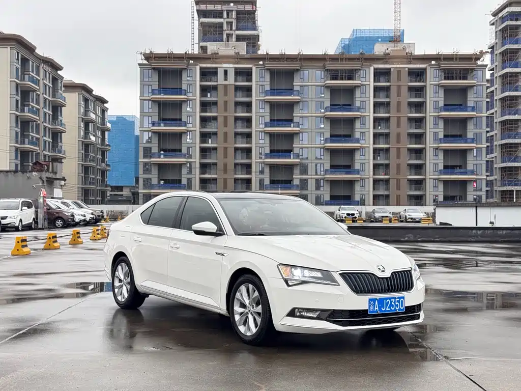 Skoda Speedy 2017