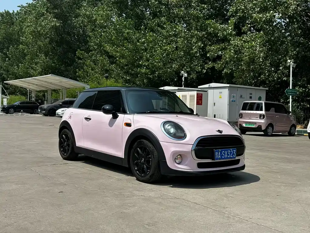 MINI MINI 2018