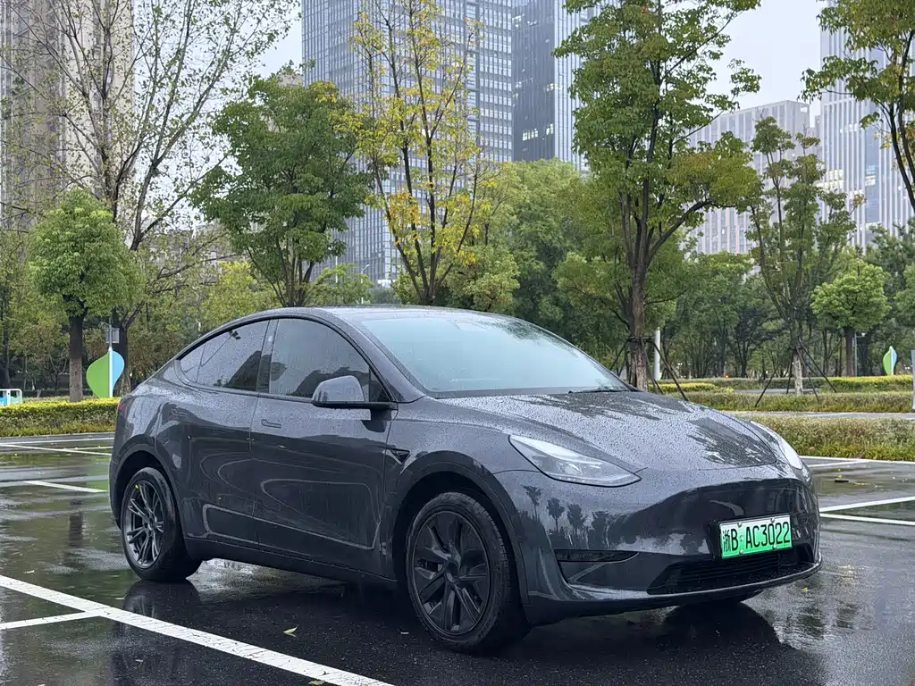 Tesla Model Y 2025 — фото 3