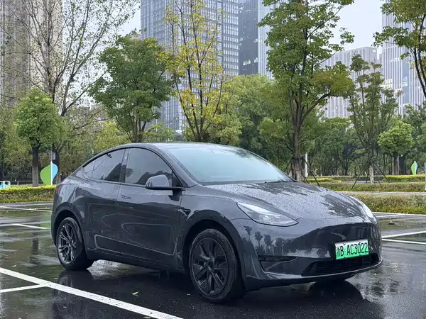 Tesla Model Y 2025